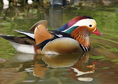 Ultimate Laikipia Culture, Luxury & Adventure